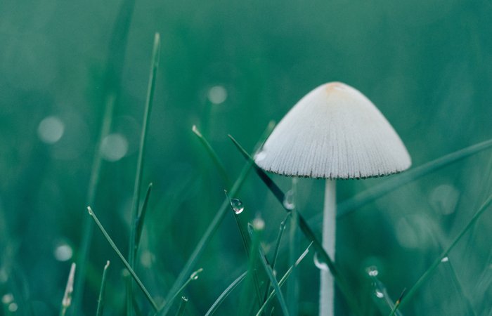 环亚集团·AG88(中国游)官方网站