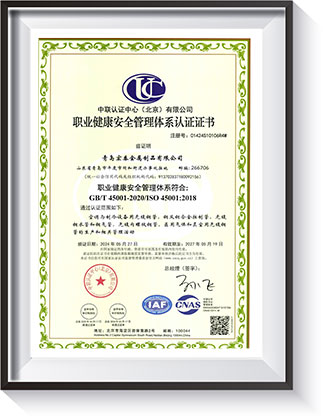 职业康健清静治理系统认证证书